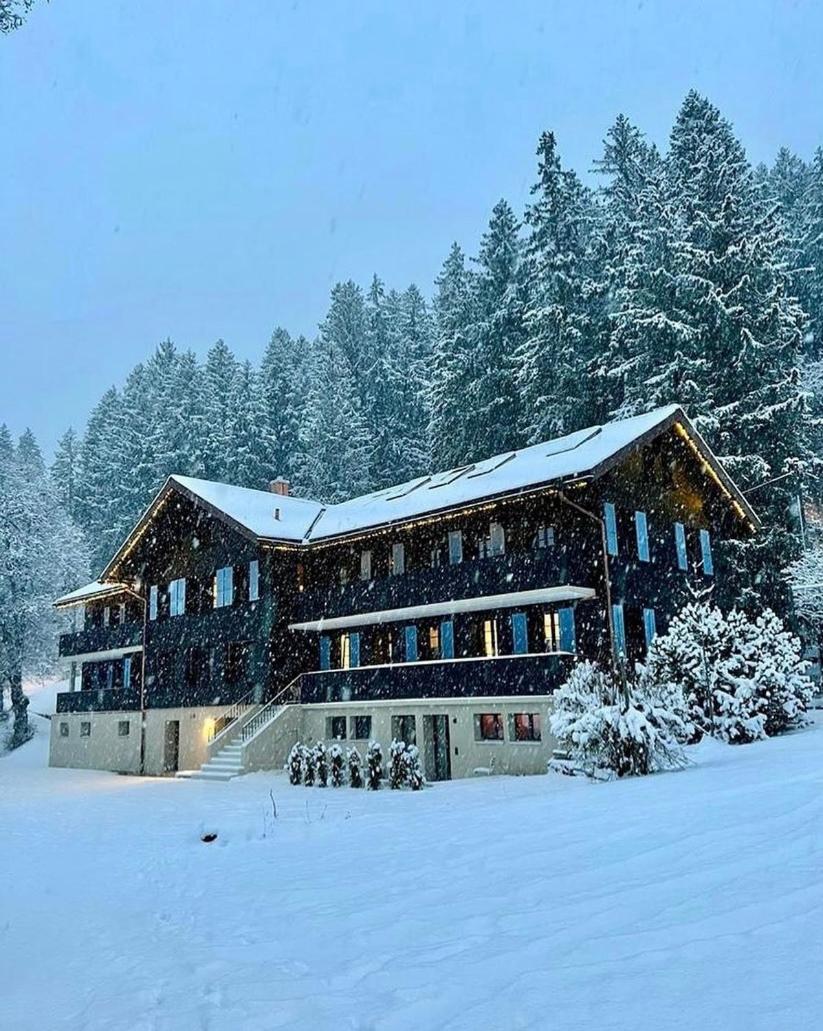 Eiger View Alpine Lodge 2/24