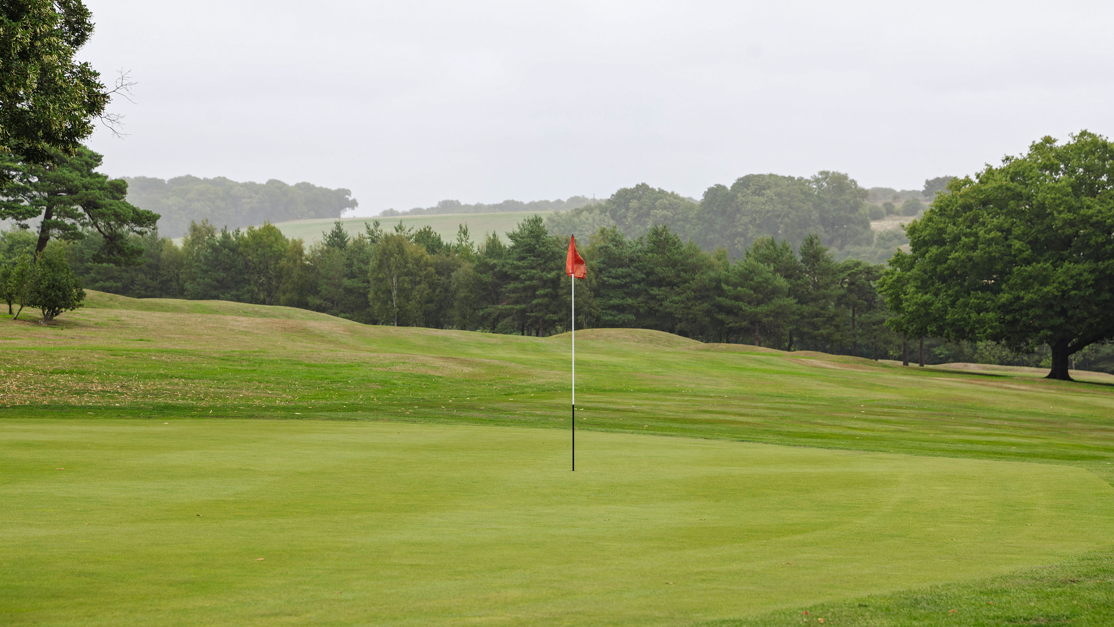 Donnington Valley Hotel and Spa 43/72
