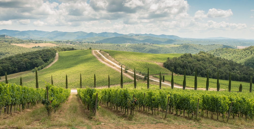 Dievole Wine Resort 67/76