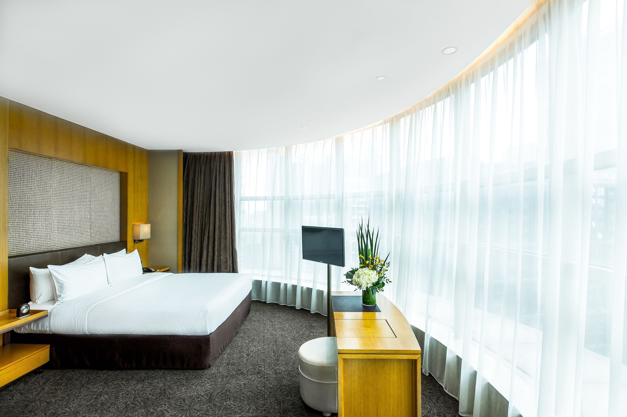 BUSINESS SUITE