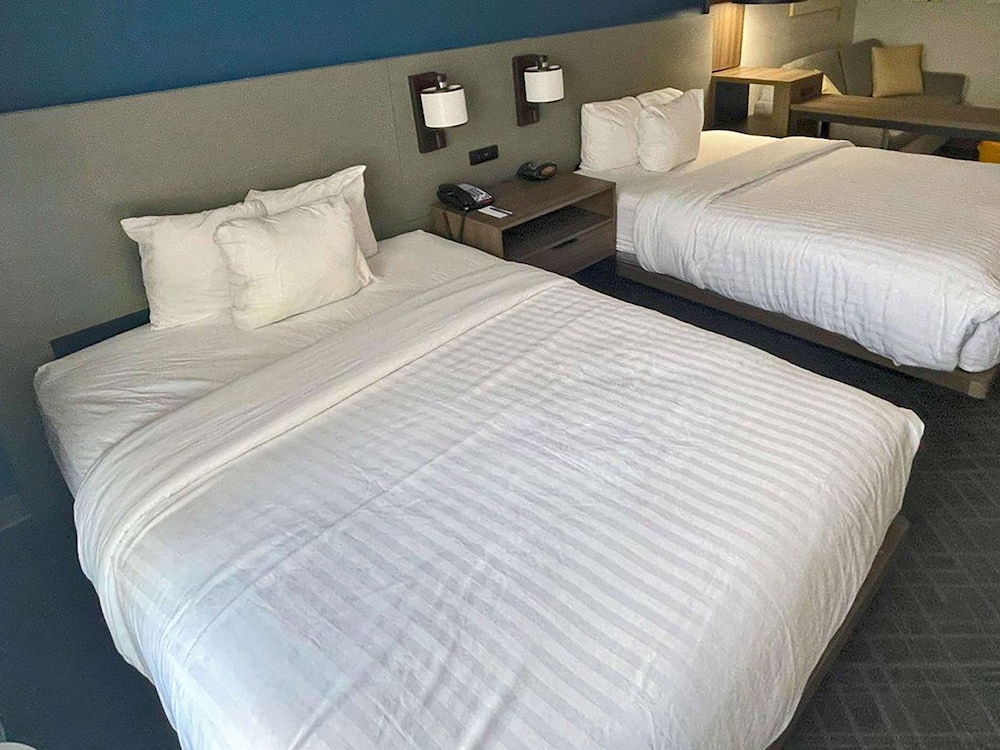 Comfort Suites Mobile-South Alabama University Area 13/43