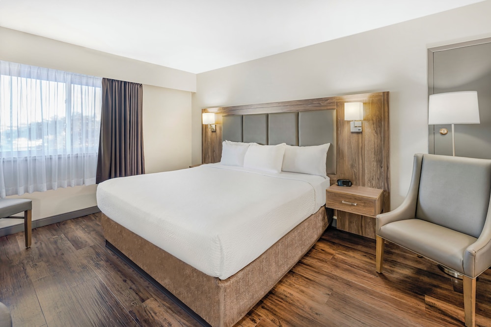 DELUXE, KING BED, STREET VIEW, KITCHENETTE