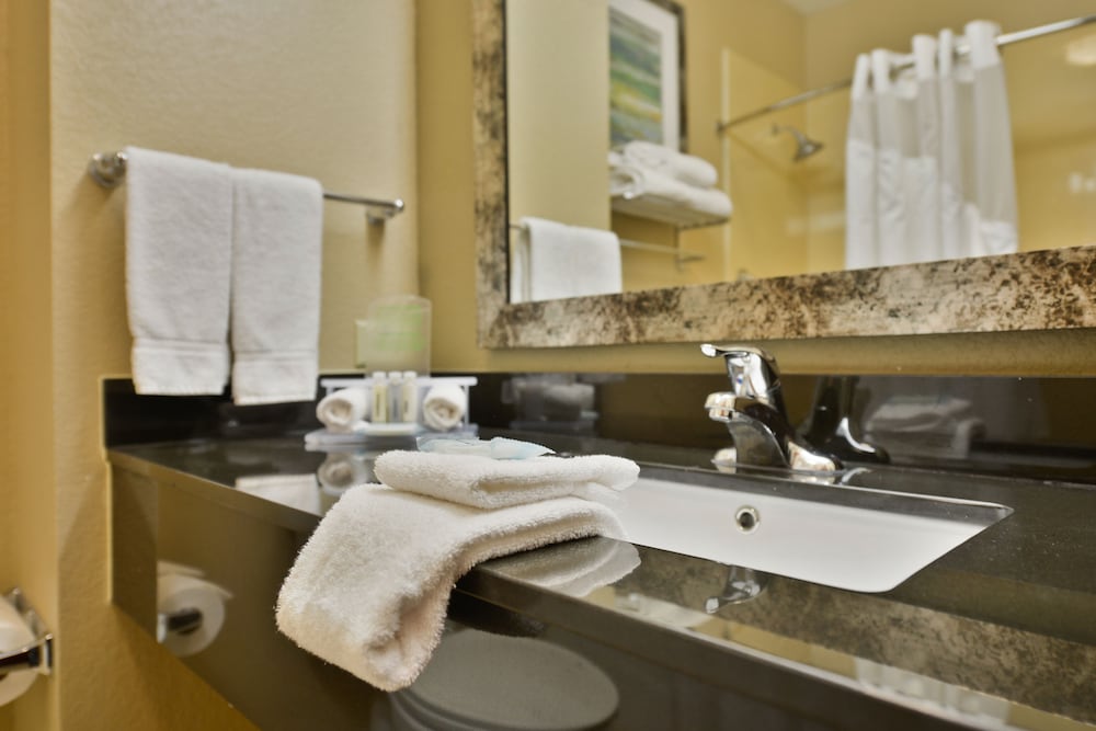 Holiday Inn Express Hotel Suites Forrest City 46/52