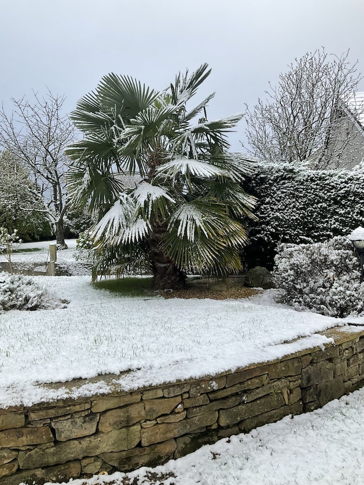 Armidale Cottages Bed & Breakfast 21/28