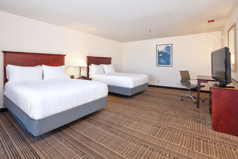 Holiday Inn Hotel And Suites 19/66