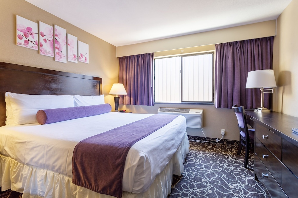 Room, King Bed, East Side, Accessible