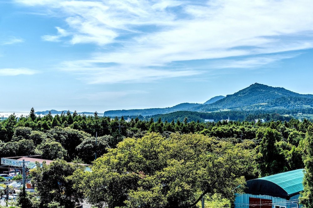 Gyulhyanggi Pension 28/34
