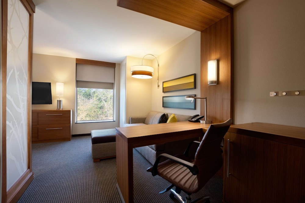Hyatt Place Houston / The Woodlands 25/64