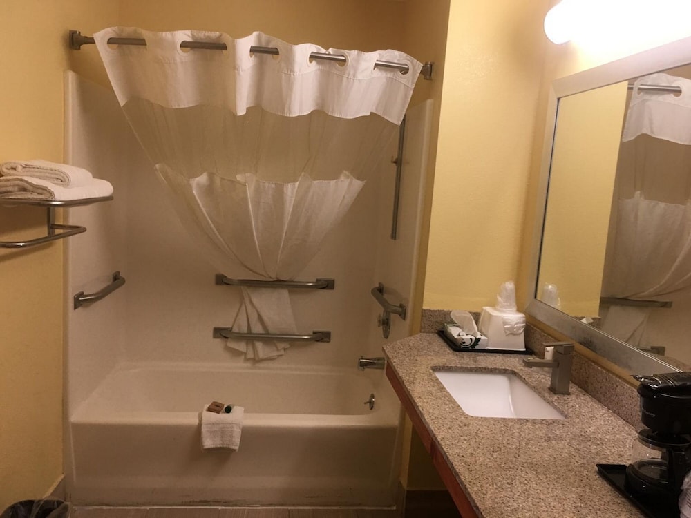 Loyalty Inn Hawkinsville 35/37