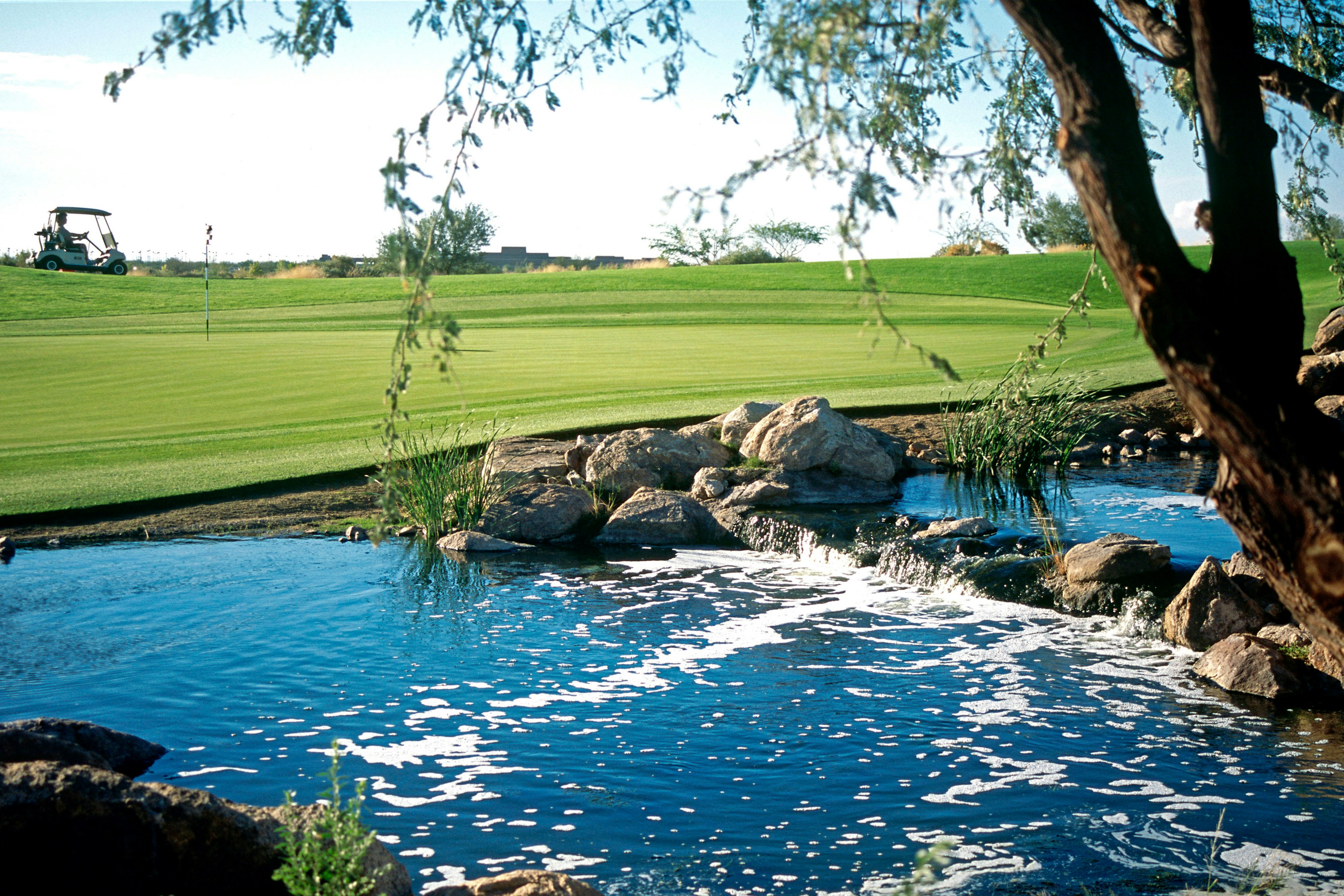 Sheraton Wild Horse Pass Resort 23/31