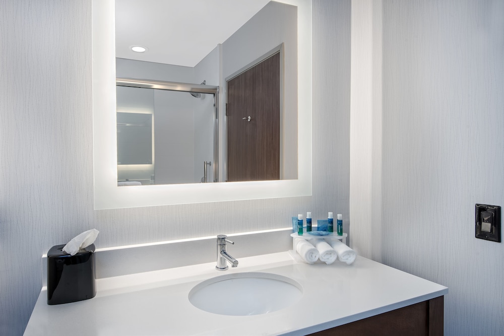 Holiday Inn Express & Suites Round Rock - Austin N 17/52