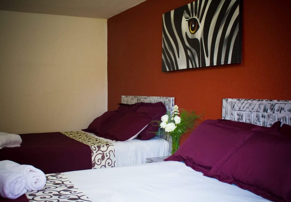 Hotel & Suites Cerro Rojo 18/68
