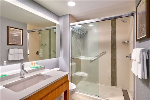 1 Bedroom, Suite, King Bed