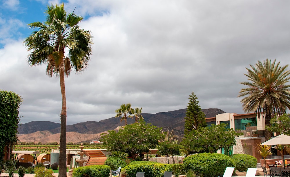 HOTEL BOUTIQUE VALLE DE GUADALUPE 80/83