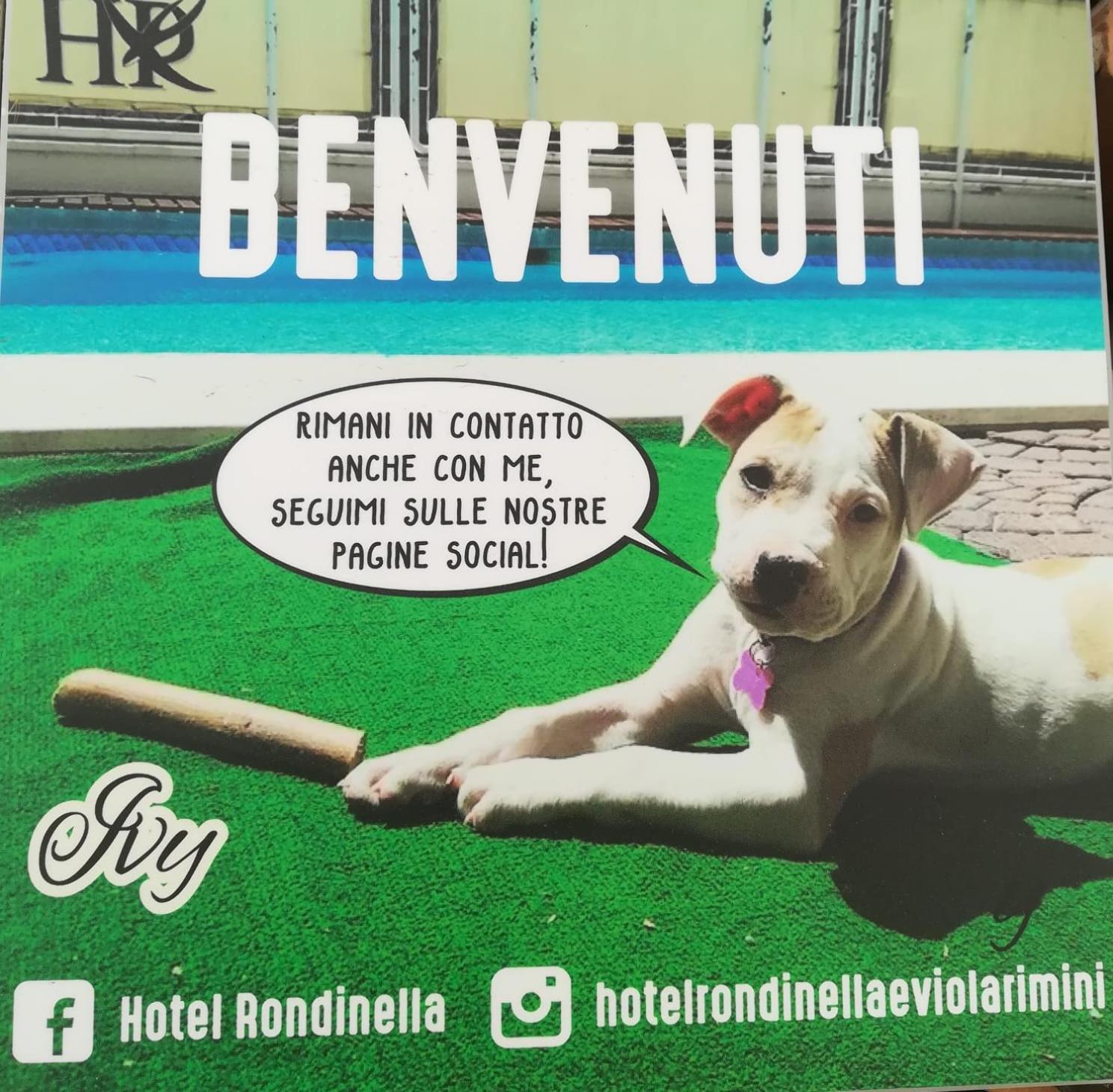 Hotel Rondinella e Viola 44/50