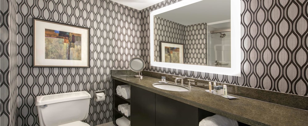 Doubletree By Hilton Chicago Schaumburg 13/45