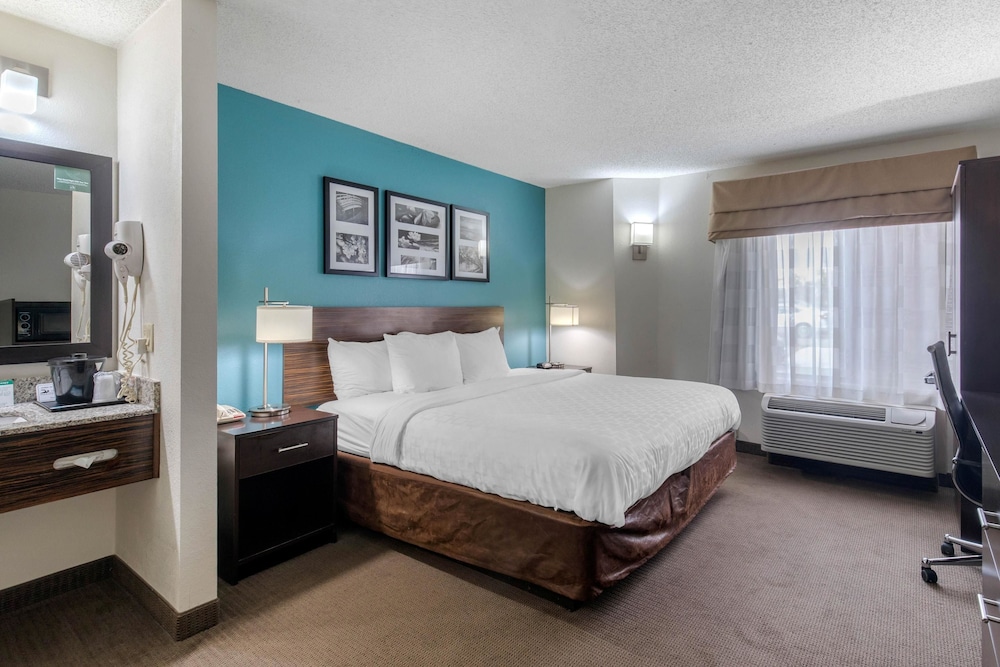 Clarion Inn & Suites Dfw North 14/49