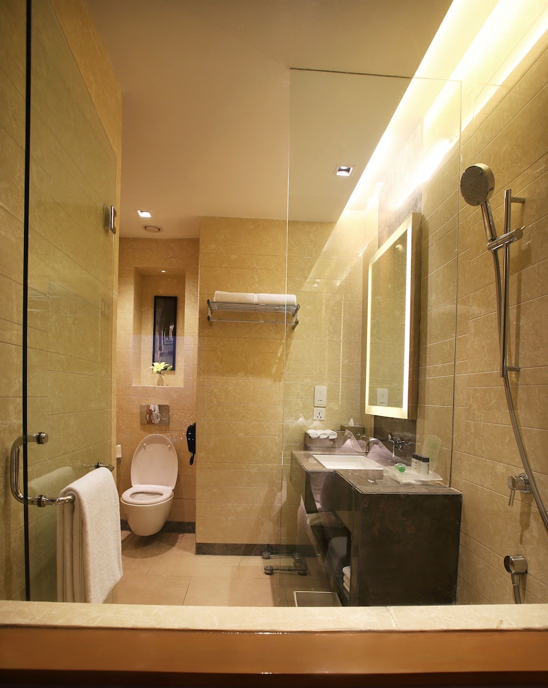 Holiday Inn New Delhi Mayur Vihar Noida 18/74