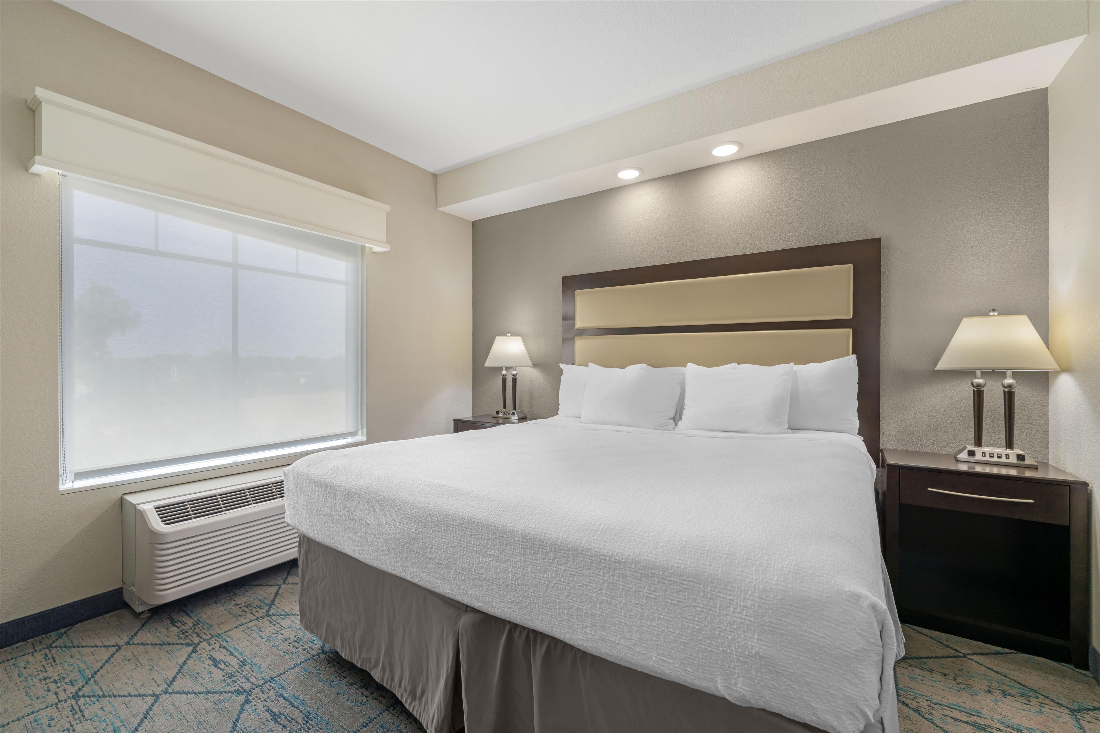 Suite, King Bed