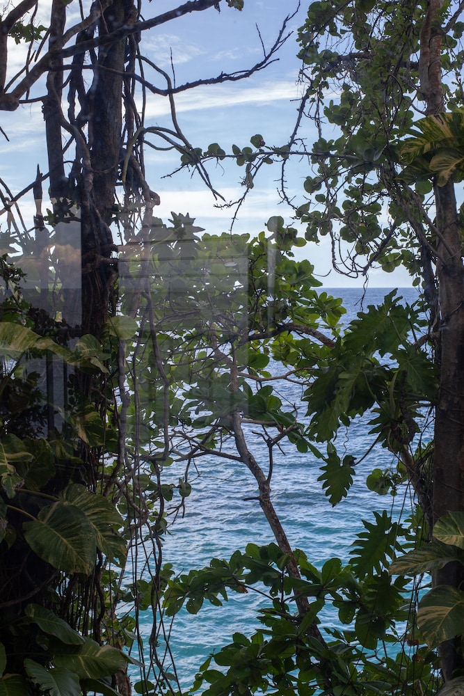 Frenchmans Cove 63/72