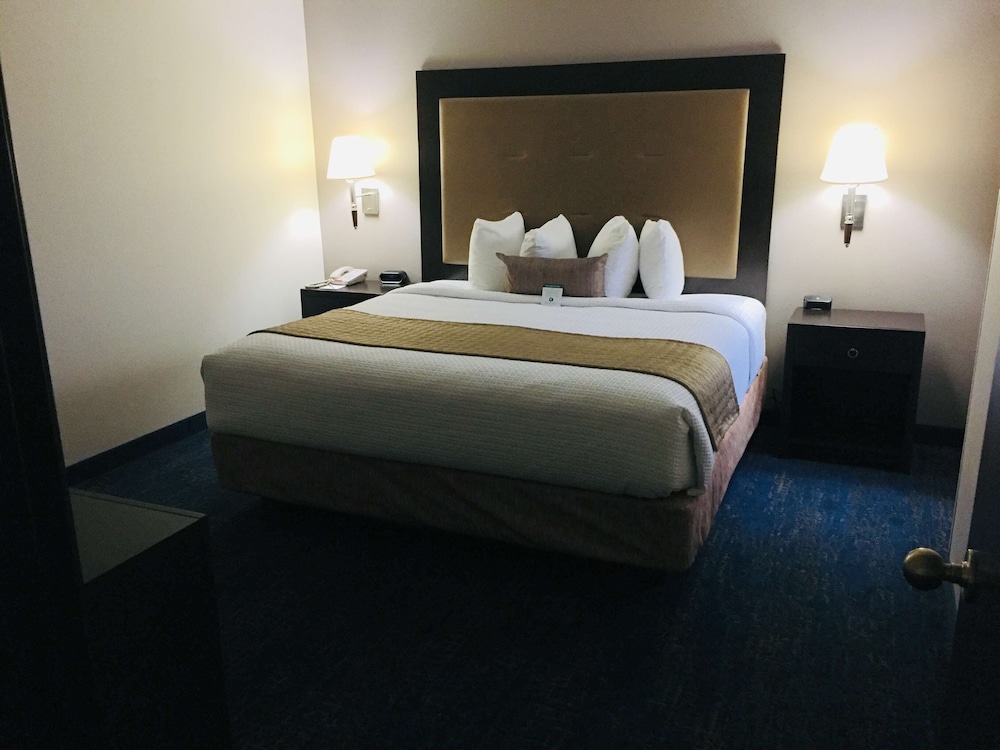 Suite, King Bed