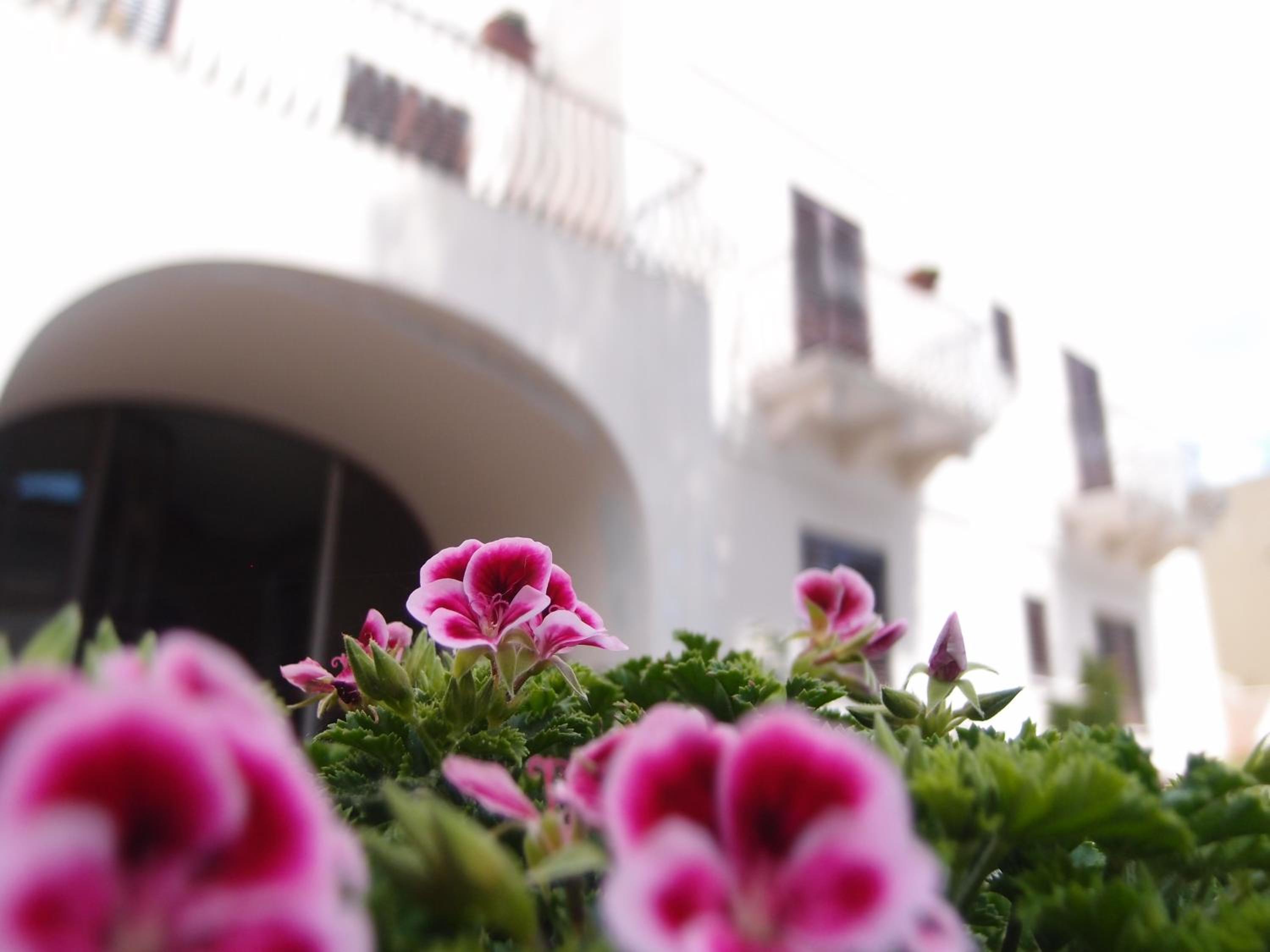 Hotel Corallo Lipari 5/49