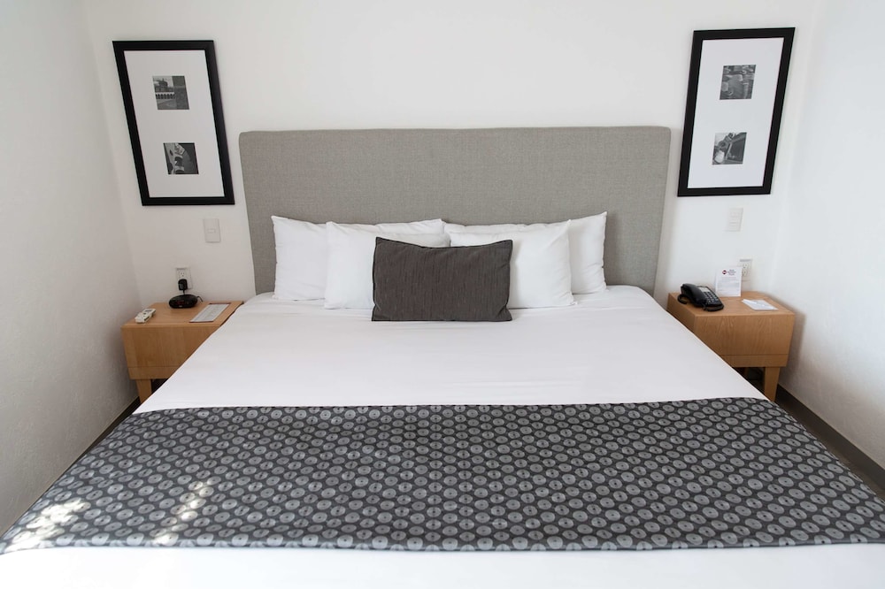 Best Western Plus Gran Hotel Centro Historico 13/70
