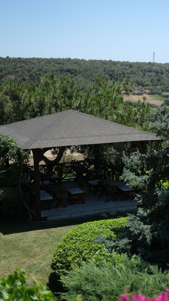 Ada Bacchus Hotel 31/50