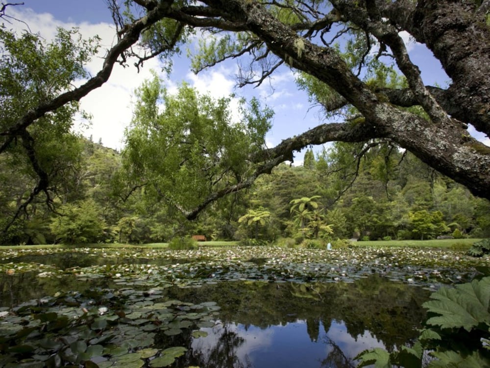 RAPAURA WATERGARDENS 18/36