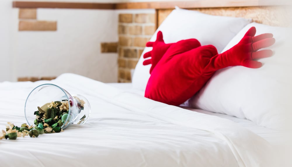 オーツ リトル アネックス B&B 写真4