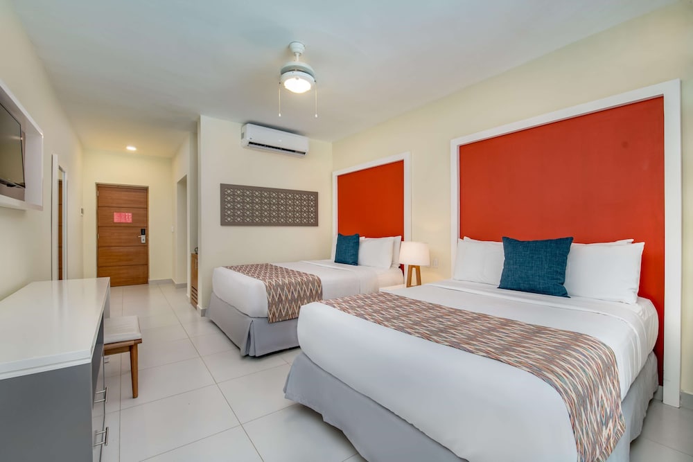 Superior, Single, Queen Bed, Adult Only