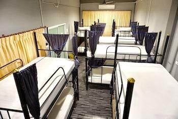 MIXED DORM, 12 BEDS