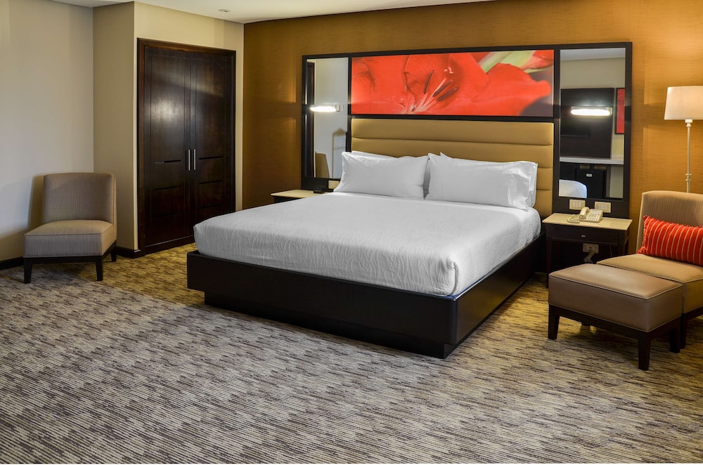 Hilton Garden Inn Guatemala City 19/58