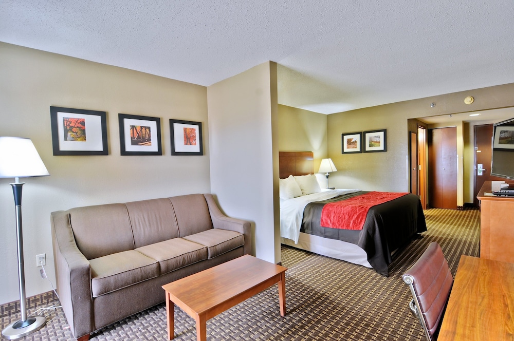 Comfort Inn & Suites Raphine VA 31/34