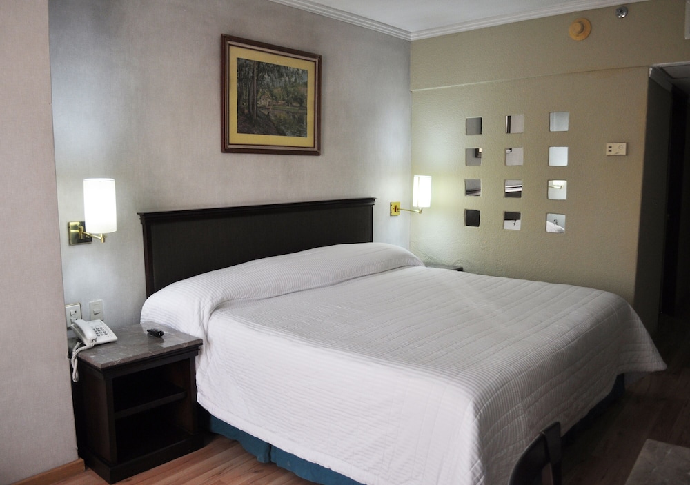 Hotel Arroyo de la Plata Zacatecas 19/64