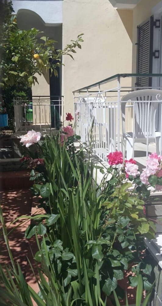 Elena's Garden 33/41