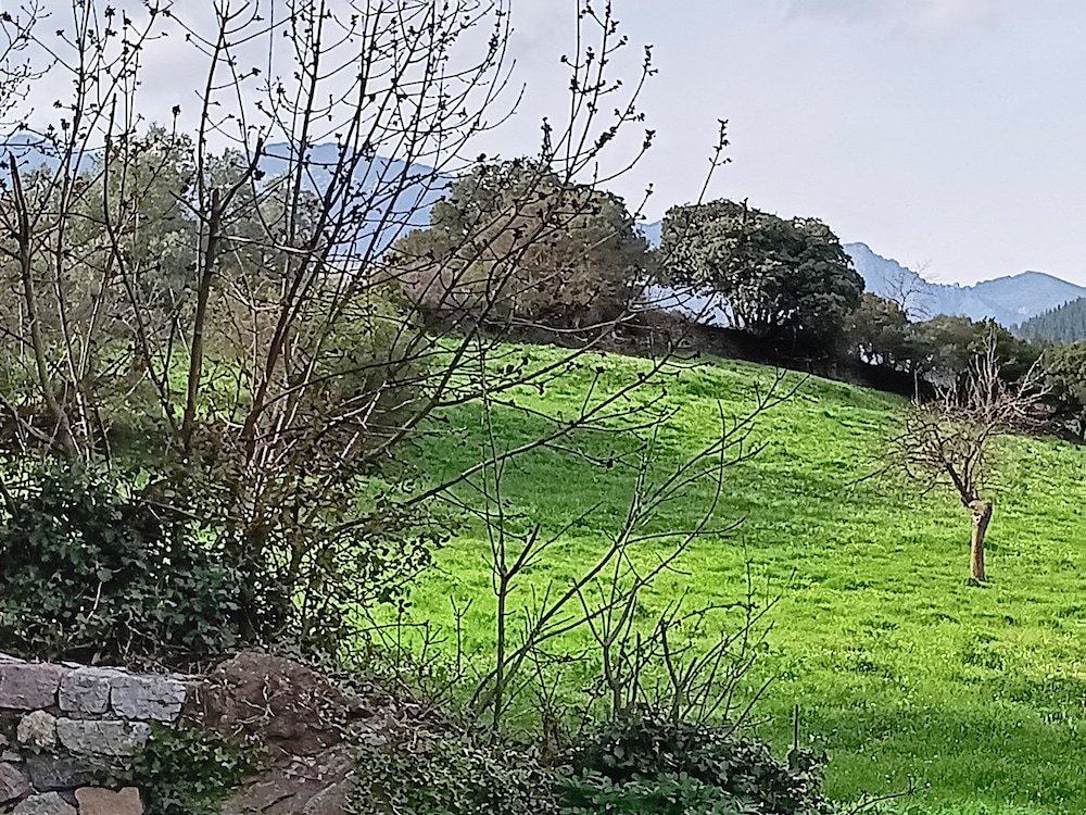 Hotel Finca Malvasia 35/60