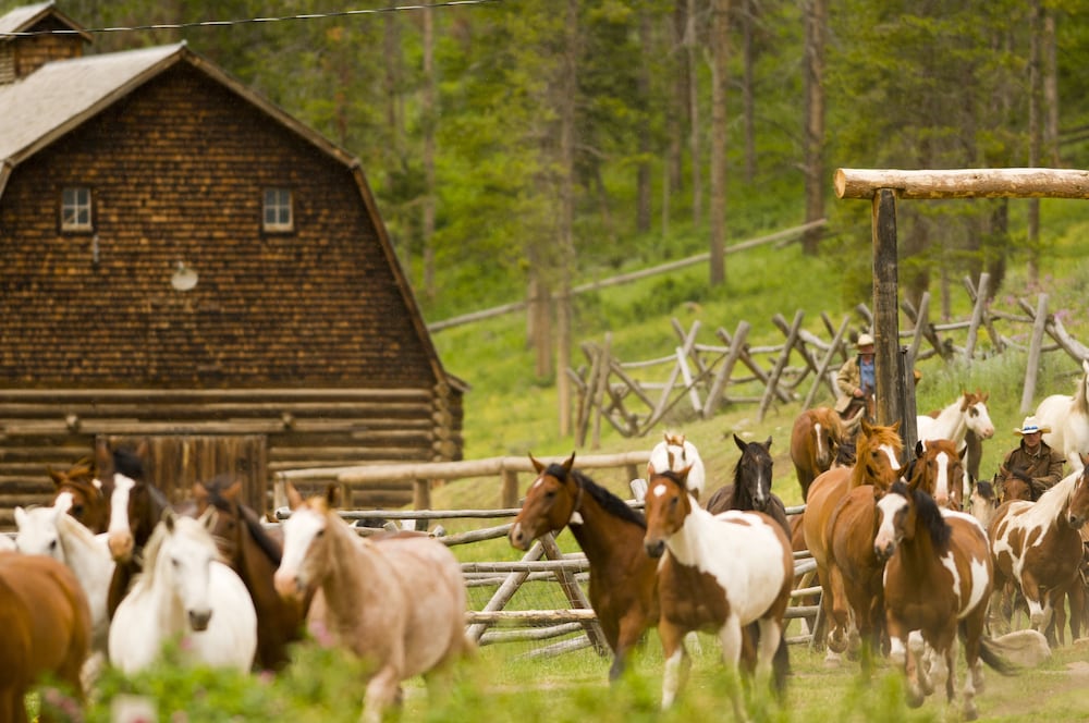 320 Guest Ranch 44/50