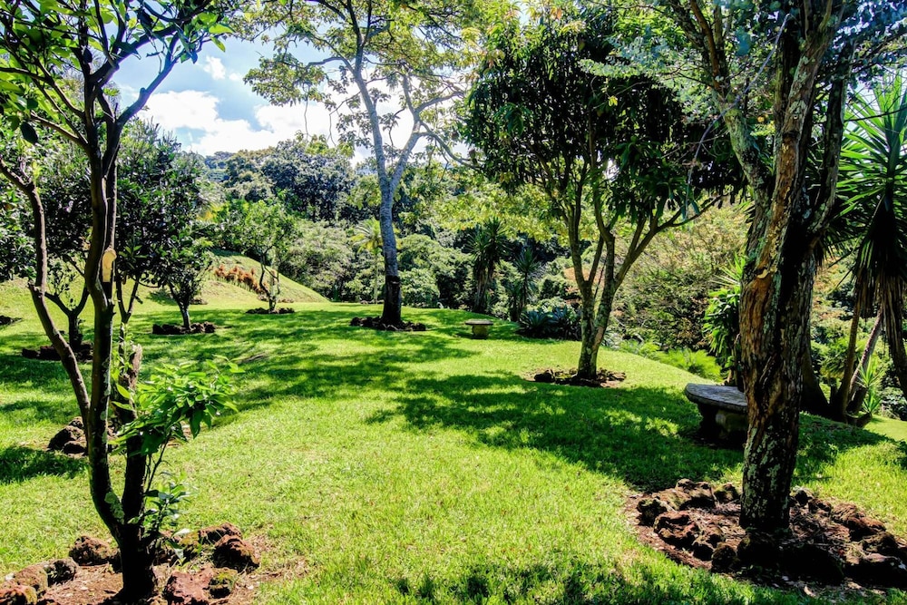Hotel Mango Valley 18/39