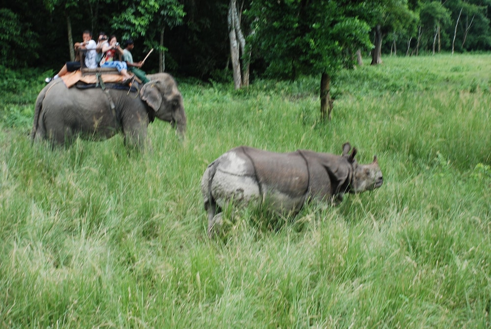 Chitwan Village度假村(Chitwan Village Resort) 图片4