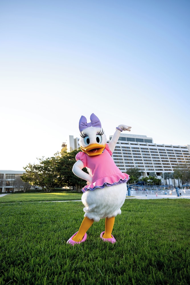 Disneys Contemporary Resort 44/50