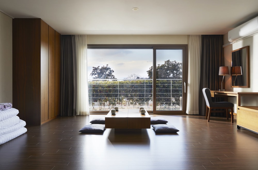 Jeju Aerospace Hotel 16/39