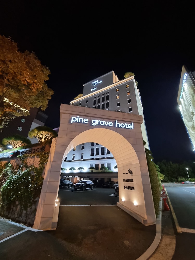 Pine Grove Hotel 6/57