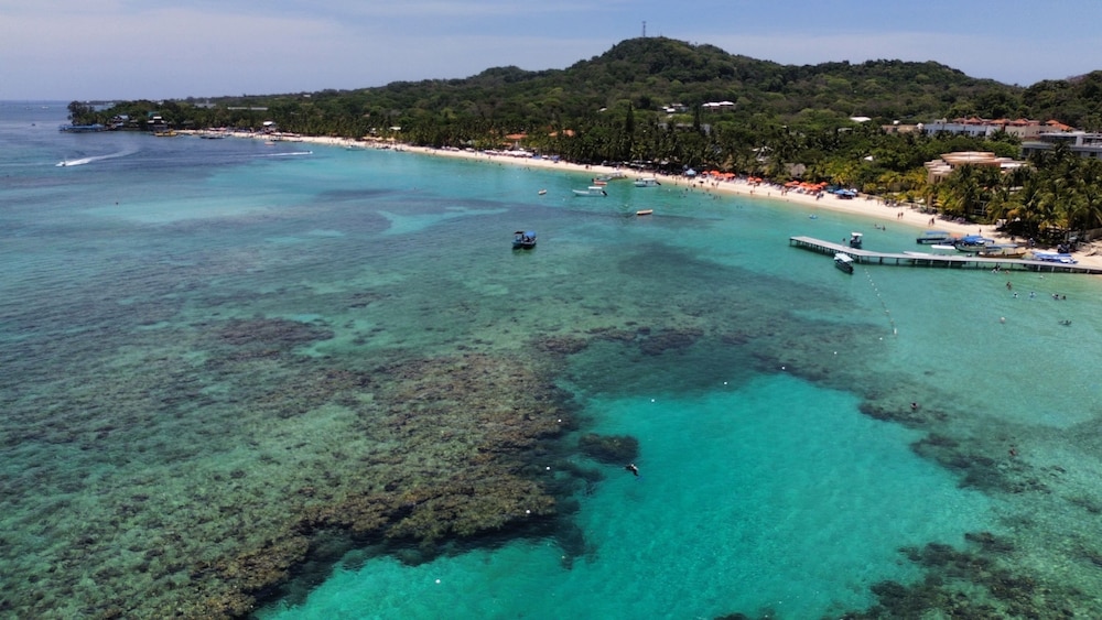 Naboo Resort & Dive Center - Adults Only 49/50