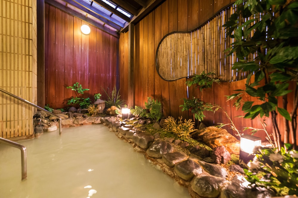 SHINYU HOTEL(RYOKAN) 28/45