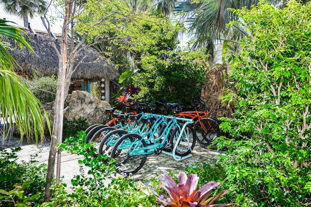 Tropical Breeze Resort 56/77