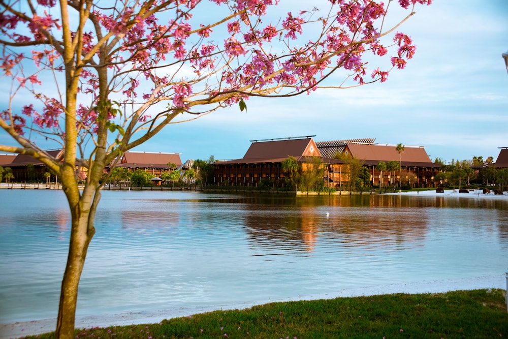 Disneys Polynesian Village Resort 42/50