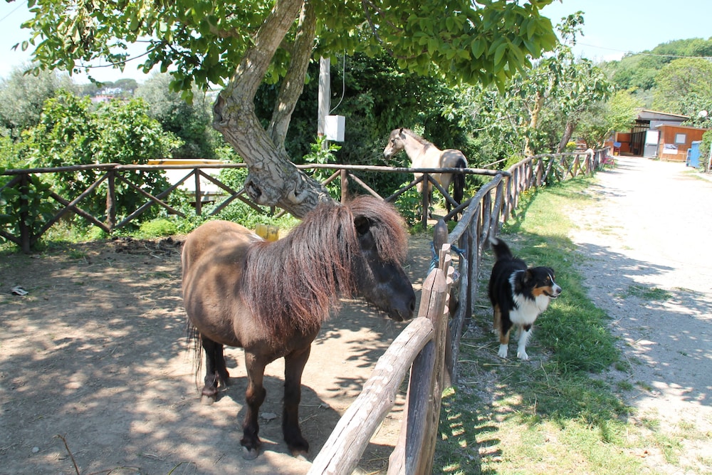 Agriturismo Piccolo Paradiso 43/74