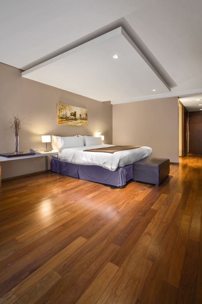 SAN ISIDRO PLAZA HOTEL 18/32