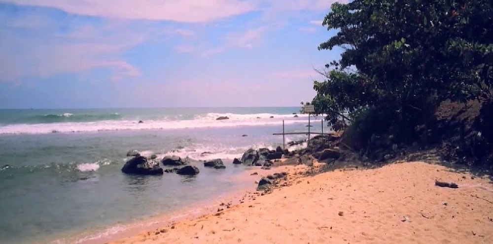 Turtle Paradise 38/46